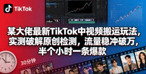 某大佬最新TikTok中视频搬运玩法，实测破解原创检测，流量稳冲破万，半个小时一条爆款-网创资源总站