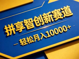 拼享智创新赛道，轻松月入1W+，门槛极低、收益稳定、可长期放大的轻资产项目【揭秘】-网创资源总站