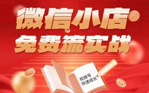 微信小店免费流实战，有货源无货源双模式，从开店到爆单全实操课，小白也能月入1W+-网创资源总站