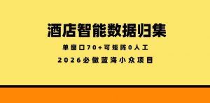 酒店智能数据归集,小众蓝海已经稳定半年之久,单窗口70+零成本矩阵开干【揭秘】-网创资源总站